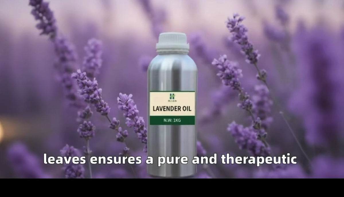 Veloura Botanics Lavender Essential Oil 4 oz - 100% Pure & Natural, Therapeutic Grade Lavender Oil for Diffuser. Aromatherapy, Skin, Hair & Relaxation - Steam Distilled Lavandula Angustifolia